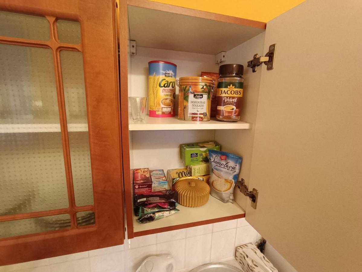 Apartman Horni Slavkov Hodinarstvi Kültér fotó