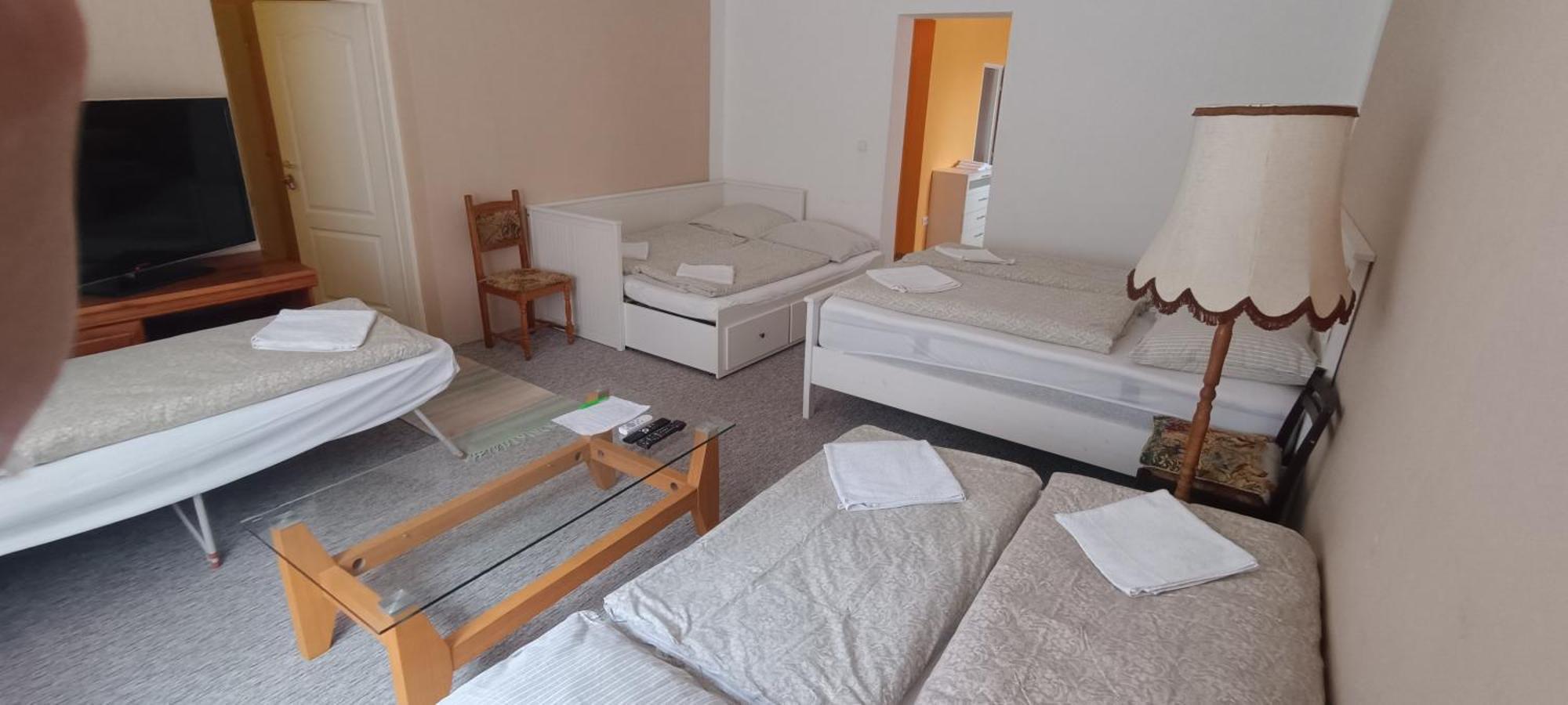 Apartman Horni Slavkov Hodinarstvi Kültér fotó